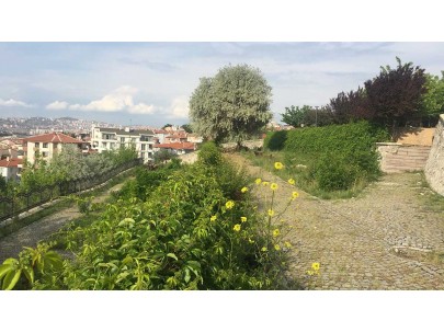 Cebeci 50. Year Park